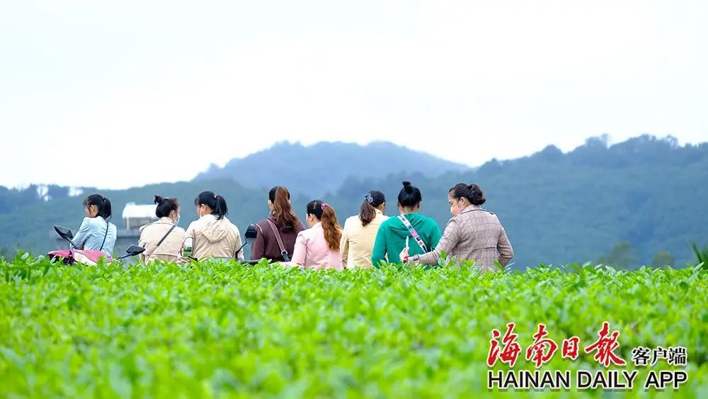 新时代 新征程6.jpg